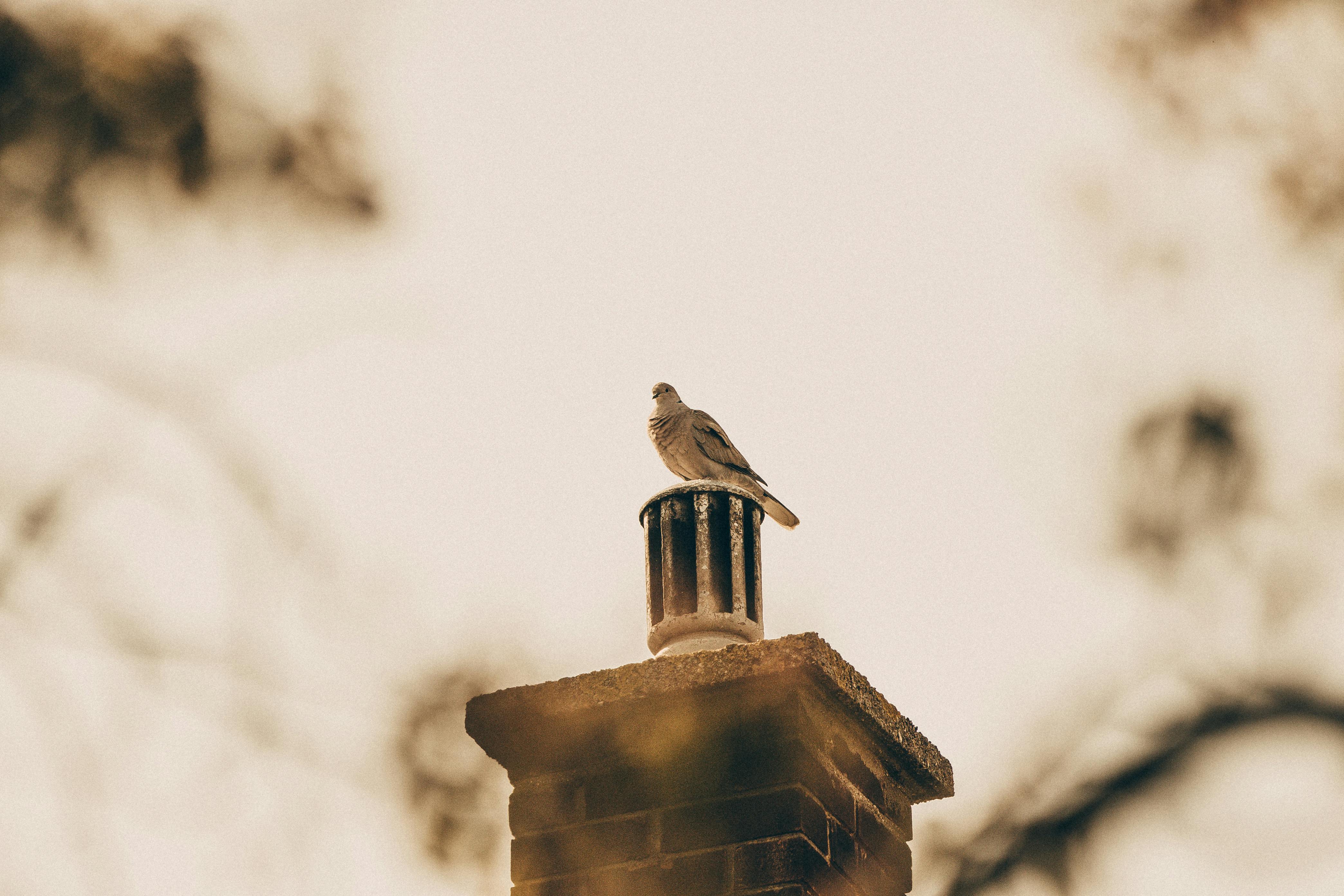 Expert Chimney Cap Installation in Thornton, Illinois